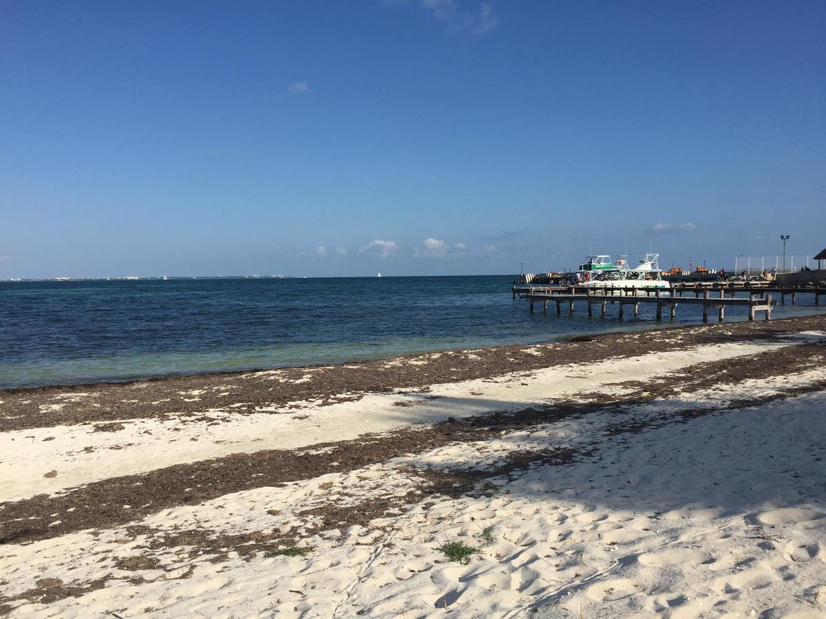 Sea By C Apartments (Adults Only) Cancún Zewnętrze zdjęcie