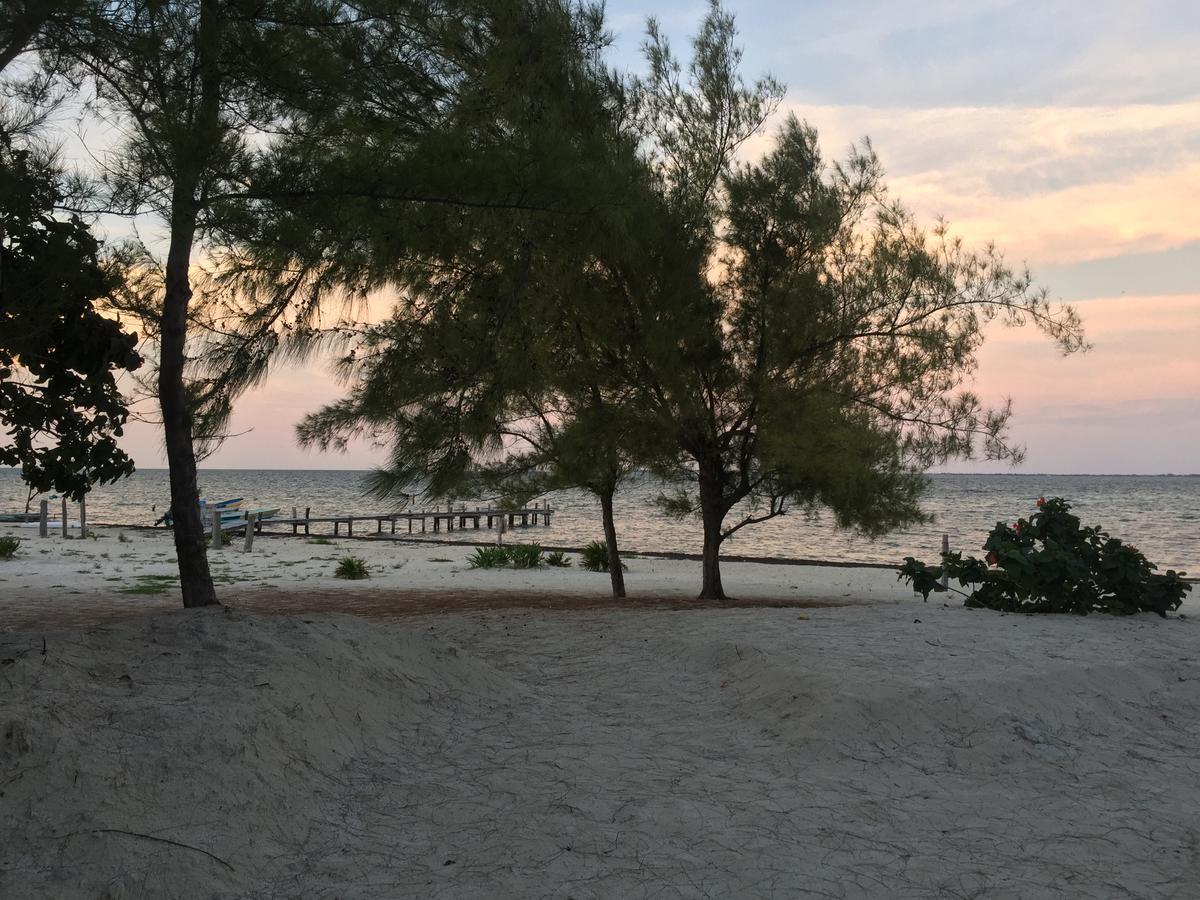 Sea By C Apartments (Adults Only) Cancún Zewnętrze zdjęcie