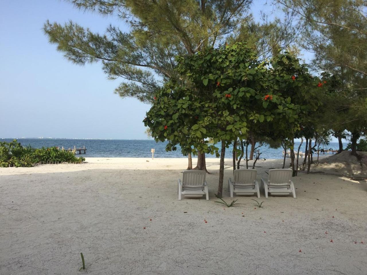 Sea By C Apartments (Adults Only) Cancún Zewnętrze zdjęcie